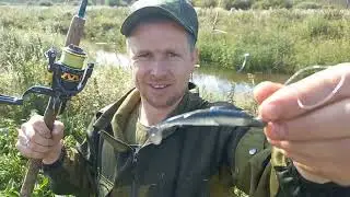 Отдыхаем на природе  Рыбалка  Охота