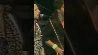 POSLEDNY VALCIK Rovo Grigorov & Midi 86 (shorts)