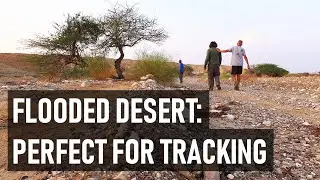 Tom is tracking animals in Israël (3 of 4)