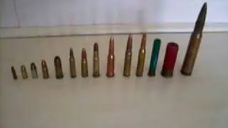 Comparison of ammo from .22 to .50 Cal.