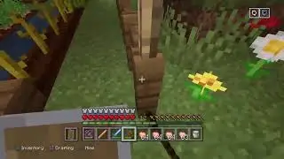 Minecraft #1 I don't even know why