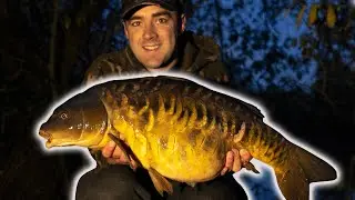 Winter Carp Fishing - Fishing For ONE BITE!