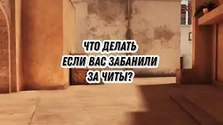 ЧТО ДЕЛАТЬ ЕСЛИ ВАС ЗАБАНИЛИ ЗА ЧИТЫ? 