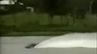 Midnight Miss - Classic Lauterbach Hydroplane