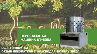 Перосъемная машина NT-600A в работе. Ощип индоутки. Агростарт.