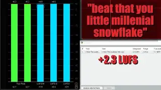 I Won The Loudness War