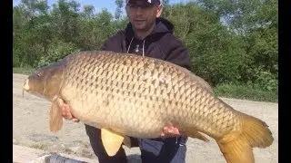 carp fishing (mika alas)