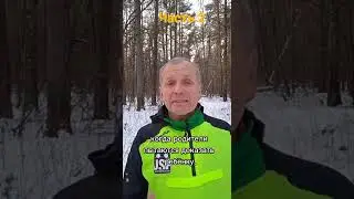 Видео WhatsApp 2022 12 05 в 20 59 32
