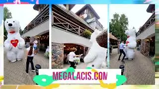 Поздравление с днём рождения Аниматоры Рига Подарок на день рождения MegaLacis Белый Медведь Рига