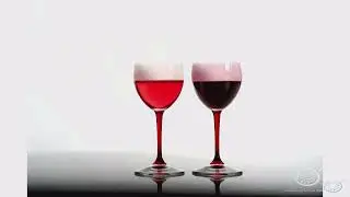 CONGRESSO NAZIONALE AIS 2021 - MASTERCLASS LAMBRUSCO