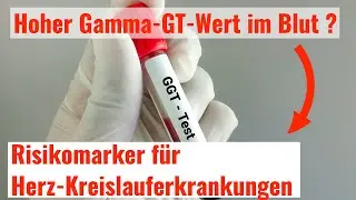 Erhöhte Gamma GT - Risikomarker für Herz-Kreislauferkrankungen