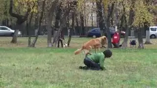 Фризби Фристайл Алия и Ирвин