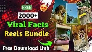🥳🥳Fact Video Reels Bundle Free Download💥Instagram Reels Bundle Free Download🤩500+ Ai Reels Bundle