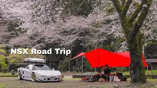 Spring camping with NSX and dog for beautiful cherry blossoms in japan. Rain ASMR Relaxing Healing