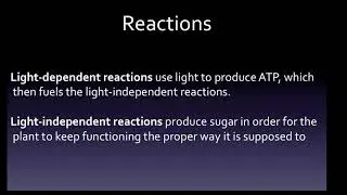 HESI A2 Exam: Photosynthesis
