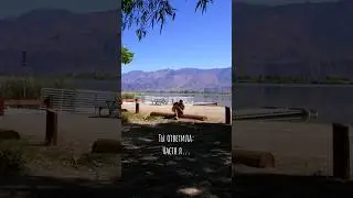Про какое бы женское имя написать еще песню?) 😌