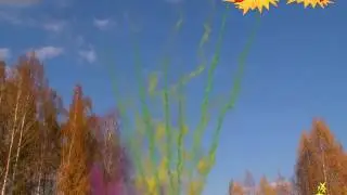 Р8830: Заря Востока
