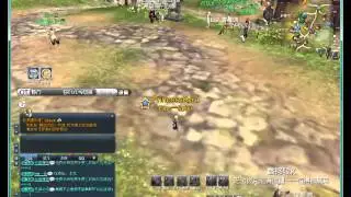 Before English patching the Blade and Soul Game