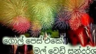 ගෝල් පෙස් එකෙ මල් වෙඩි සන්දර්ශනය
