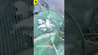 Вот что клюёт в жару #рыбалкавидео #рыбалка #fishing #прорыбалку #202