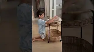 Ragdoll kedi funny video with funny cat