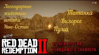 Легендарная охота в Нью-Остине в 3 главе Red Dead Redemption 2