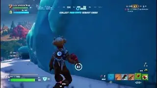 Fortnite win