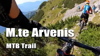 Monte Arvenis MTB Trail - Ravascletto, Zoncolan,Tamai