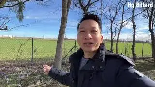 Review CLB Bi a Ở Đức - Thách Đấu Với Đối Thủ Đỏ Và Cái Kết