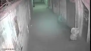 Bangladesh Earthquake 2016 cctv video