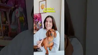 DESVELO mi Tip FAVORITO!🥥🥰 #perrosalchicha #dachshund #teckel