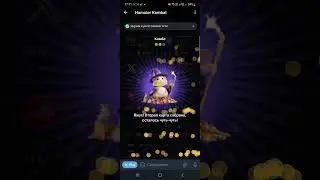СЕКРЕТНЫЕ КОМБО КАРТЫ В ХАМСТЕР КОМБАТ 18-19 ИЮНЯ! Hamster kombat сегодня новые комбо в видео!