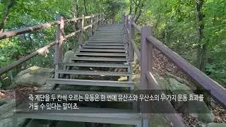 No pain no gain  無苦無得(무고무득) 계단운동을 해야 하는 이유