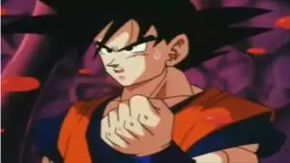 GOKU- É UM IDIOTA