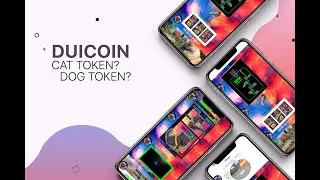 🔴ОБЗОР КРИПТОВАЛЮТНОГО ПРОЕКТА DUICOIN 🚩