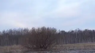 Весна 2021 год. 