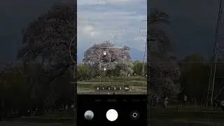 Why you need a good zoom lens on your phone | Samsung Galaxy S24 Ultra 10x zoom