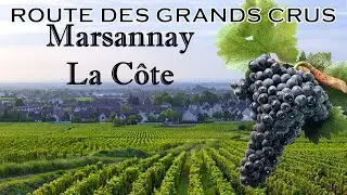 Route des Grands Crus : MARSANNAY-LA-COTE