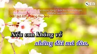 Xuân Này Con Không Về   Karaoke Beat Chuẩn 1