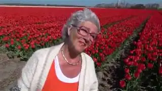 Tulpenroute