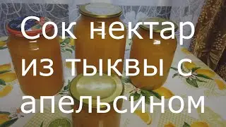 Сок нектар с мякотью из тыквы и апельсинов.