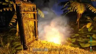 How to Build a Thatch Hut!!!