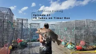 Offshore Fishing Episode 21 - TK takes on the Timor Box. Commercial trap fishing