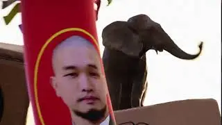 버추얼 스뜌디오 Bagagee Viphex 13 X engsio virtual studio set