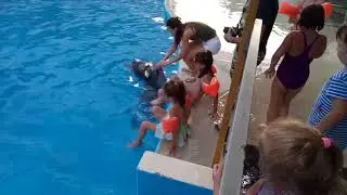 Катаемся на дельфине!
