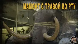 6 02  Мамонт с травой во рту, В  Козин