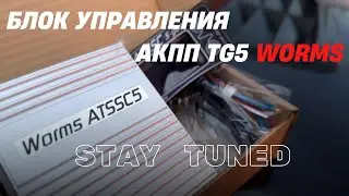 Обзор на блок управления АКПП TG5 WORMS