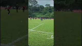 highlights from the tournament