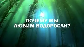 Продукция биоси.