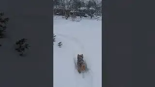 февраль, 62е, утро 🙂